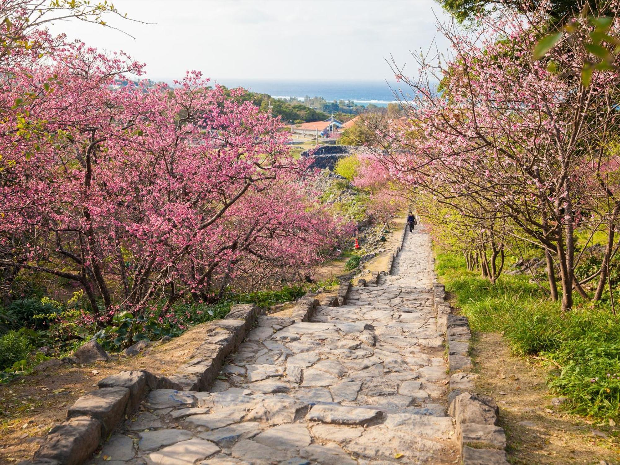プールヴィラ 古宇利島 By コルディオスマートリゾート Nakijin Extérieur photo